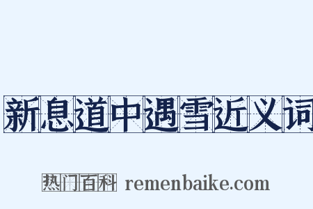 新息道中遇雪近义词是什么意思的图片